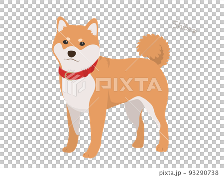 柴犬_紅發 93290738