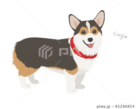 コーギー_トライカラー(ブラック&タン) コーギー_トライカラー(ブラック&タン) 93290854