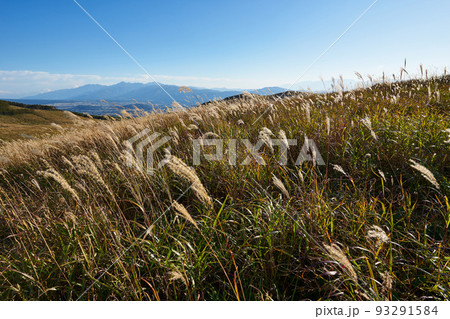 長野県 ビーナスライン 霧ヶ峰からの景色 長野県 ビーナスライン 霧ヶ峰からの景色 93291584