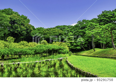 東京都 小石川後楽園 田園風景 東京都 小石川後楽園 田園風景 93291750