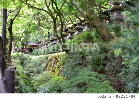 談山神社_石灯籠 談山神社_石灯籠 93291784