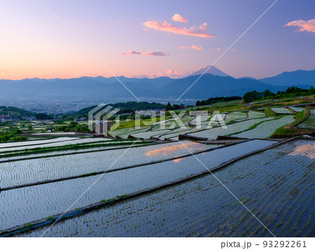 山梨_中野の棚田から見る夜明けの富士山絶景 93292261