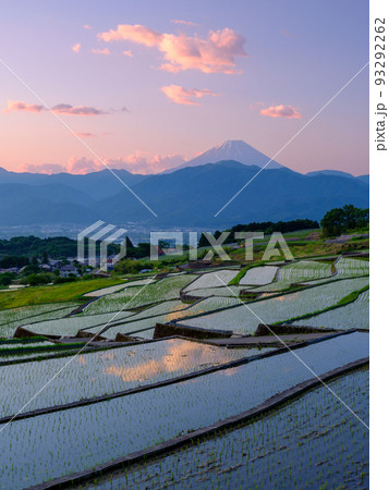 山梨_中野の棚田から見る夜明けの富士山絶景 山梨_中野の棚田から見る夜明けの富士山絶景 93292262