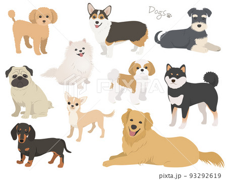 犬の犬種セット2 93292619