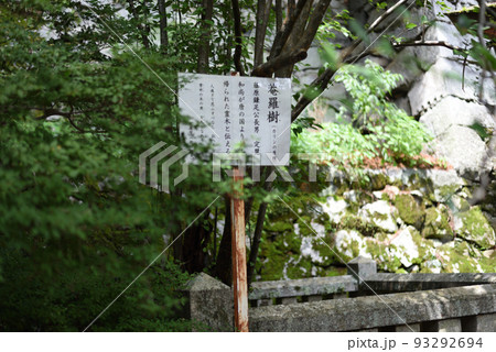 談山神社_唵羅樹 93292694