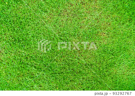 Green grass texture background, Green lawn, Backyard for background, Grass texture, Green lawn desktop picture, Park lawn texture. Green grass texture background, Green lawn, Backyard for background, Grass texture, Green lawn desktop picture, Park lawn texture. 93292767
