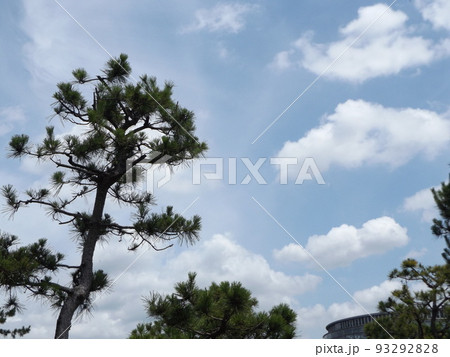 稲毛海浜公園の白い雲と青い空 93292828