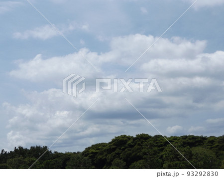 稲毛海浜公園浜の池の上の青空と白い雲 93292830
