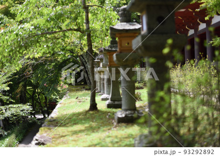 談山神社_石灯籠と緑の木々 談山神社_石灯籠と緑の木々 93292892