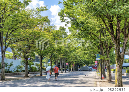 東京渋谷の都市風景　夏の代々木公園 93292935