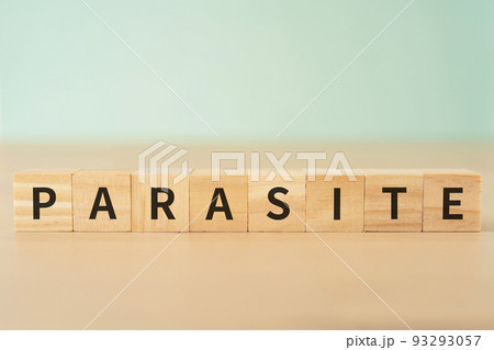 寄生・寄生虫・居候のイメージ｜「PARASITE」と書かれたブロック 93293057