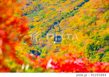 立山ロープウェイ（秋） 93293884