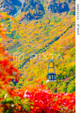 立山ロープウェイ（秋） 93293886