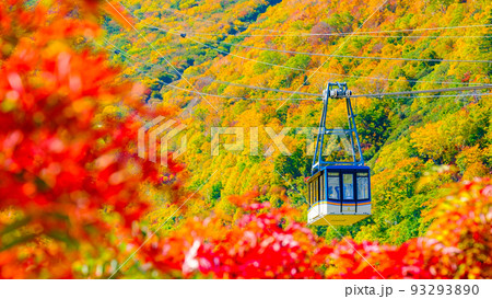 立山ロープウェイ（秋） 93293890
