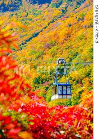 立山ロープウェイ(秋) 立山ロープウェイ(秋) 93293891