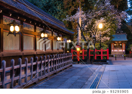 京都 東山花灯路2022年春 八坂神社 京都 東山花灯路2022年春 八坂神社 93293905