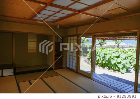 近江妙蓮と和室 滋賀県 日本 93293993