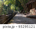 公園の遊歩道 93295121