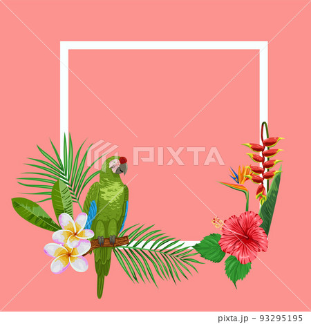 Frame with colorful parrot and tropical plans illustration Frame with colorful parrot and tropical plans illustration 93295195