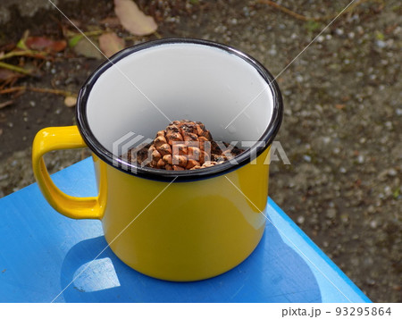 黄色いホーローカップに入った松ぼっくり 93295864