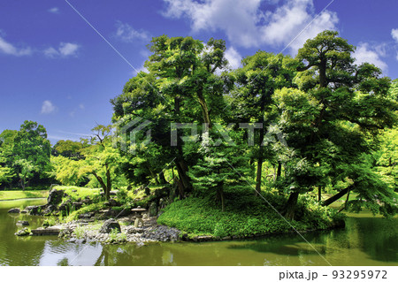 東京都　小石川後楽園　大泉水の蓬莱島 93295972