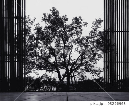 Architecture details Terrace Space Tree branch landscape 93296963