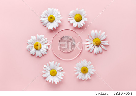 Gel cosmetic product in petri dish on pink background. Natural care cosmetic swatch with chamomile Gel cosmetic product in petri dish on pink background. Natural care cosmetic swatch with chamomile 93297052