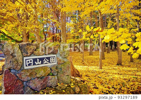 秋の円山公園　（北海道札幌市中央区） 93297189