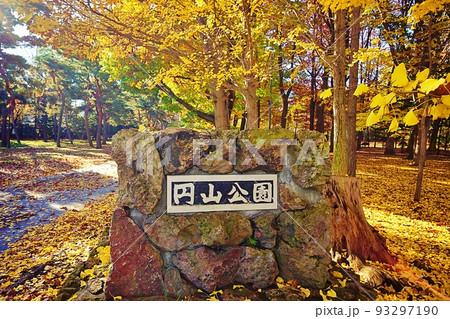 秋の円山公園 (北海道札幌市中央区) 秋の円山公園 (北海道札幌市中央区) 93297190