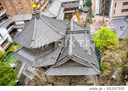 京都六角堂頂法寺の春2022 93297395