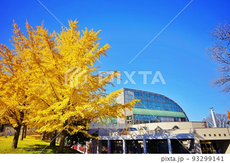 秋の札幌市円山動物園　熱帯鳥類館 93299141