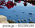 海　メキシコ 93299190