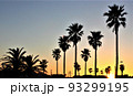 海辺の夕暮れ 南房総 93299195