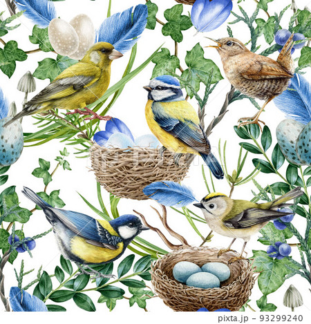 Forest birds seamless pattern. Watercolor illustration. Realistic forest birds, nest feathers, green branches and wild herbs, greens seamless pattern. Natural wildlife element 93299240