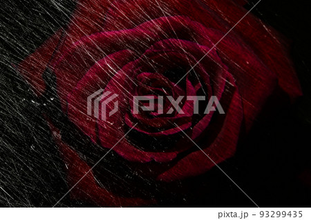 バラの花にスクラッチ（傷）のテクスチャ 93299435