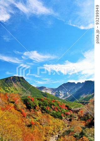 北海道 秋の青空と紅葉の十勝岳 北海道 秋の青空と紅葉の十勝岳 93299949
