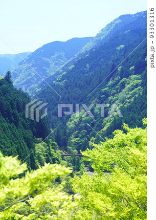 上北山村の山々と青空 上北山村の山々と青空 93301316