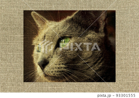 布のテクスチャに猫・ロシアンブルー 布のテクスチャに猫・ロシアンブルー 93301555