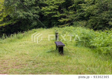 日本の岡山県新見市の鯉が窪の美しい風景 日本の岡山県新見市の鯉が窪の美しい風景 93302365