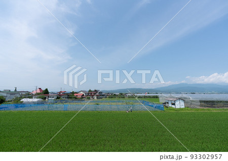 田舎の田園風景 93302957