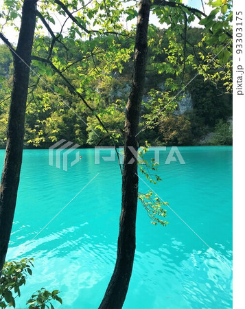 クロアチア、プリトヴィツェ湖群国立公園 クロアチア、プリトヴィツェ湖群国立公園 93303175
