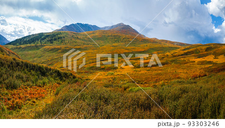 Dramatic autumn mountain landscape. Panoramic landscape with the edge of a coniferous forest and mountains in a light fog. Altai Mountains. Dramatic autumn mountain landscape. Panoramic landscape with the edge of a coniferous forest and mountains in a light fog. Altai Mountains. 93303246