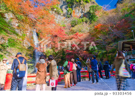 【大阪府】11月・紅葉シーズンの箕面公園 【大阪府】11月・紅葉シーズンの箕面公園 93303456
