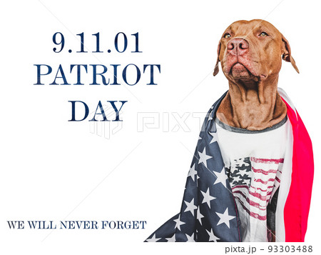 Patriot Day. Adorable puppy and American Flag Patriot Day. Adorable puppy and American Flag 93303488