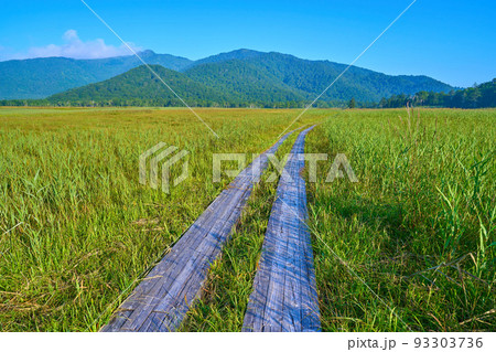 朝の尾瀬(福島県檜枝岐村)下田代の見晴地区付近から北側(景鶴山,与作岳)方面を見る 朝の尾瀬(福島県檜枝岐村)下田代の見晴地区付近から北側(景鶴山,与作岳)方面を見る 93303736