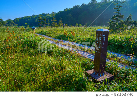 朝の尾瀬(福島県檜枝岐村)下田代の分岐点(東電小屋,三条ノ滝)とハイカー 朝の尾瀬(福島県檜枝岐村)下田代の分岐点(東電小屋,三条ノ滝)とハイカー 93303740
