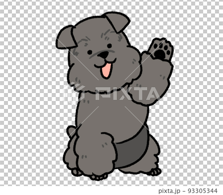 black schnauzer with one hand up 93305344