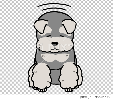 schnauzer bowing schnauzer bowing 93305349