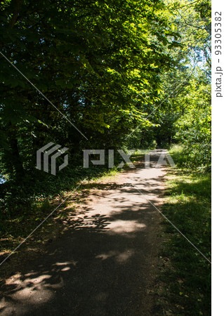 明るい日差しと緑の木々に囲まれた細い歩道　ロンドン郊外のオールド・ウィンザーにて 93305382