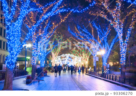 【大阪府】12月・大阪・光の饗宴2021　御堂筋イルミネーション2021　大阪市役所 93306270